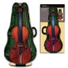 violin greeting card